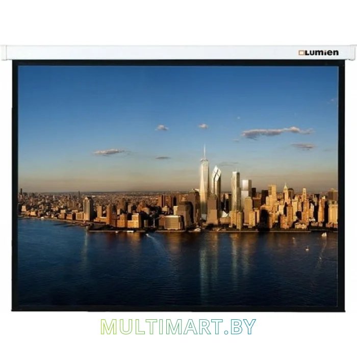 Проекционный экран Lumien Master Picture 173x300 (LMP-100118)